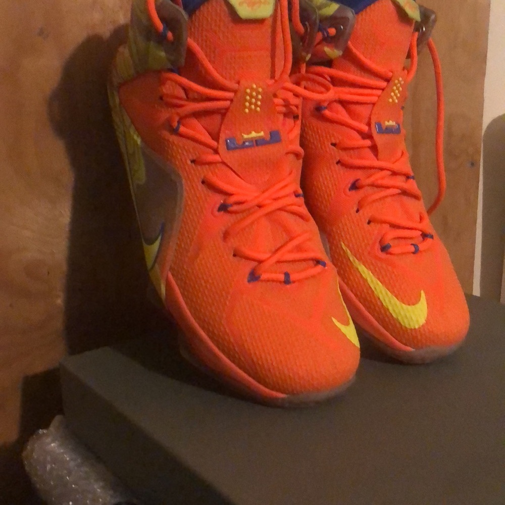 Lebrons - Picture 2 of 7